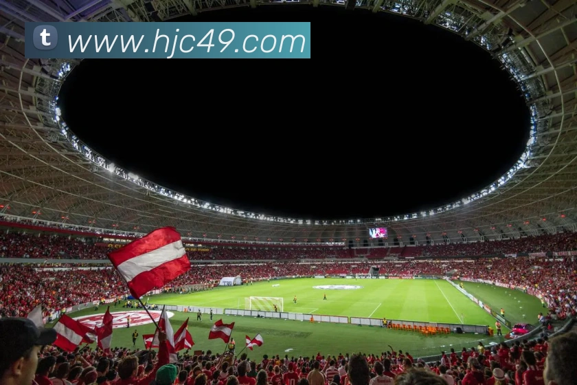 未来规划